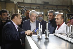 بازدید معاون علمی رئیس جمهور از شرکت های نانویی مسقر در پژوهشگاه پلیمر
 18